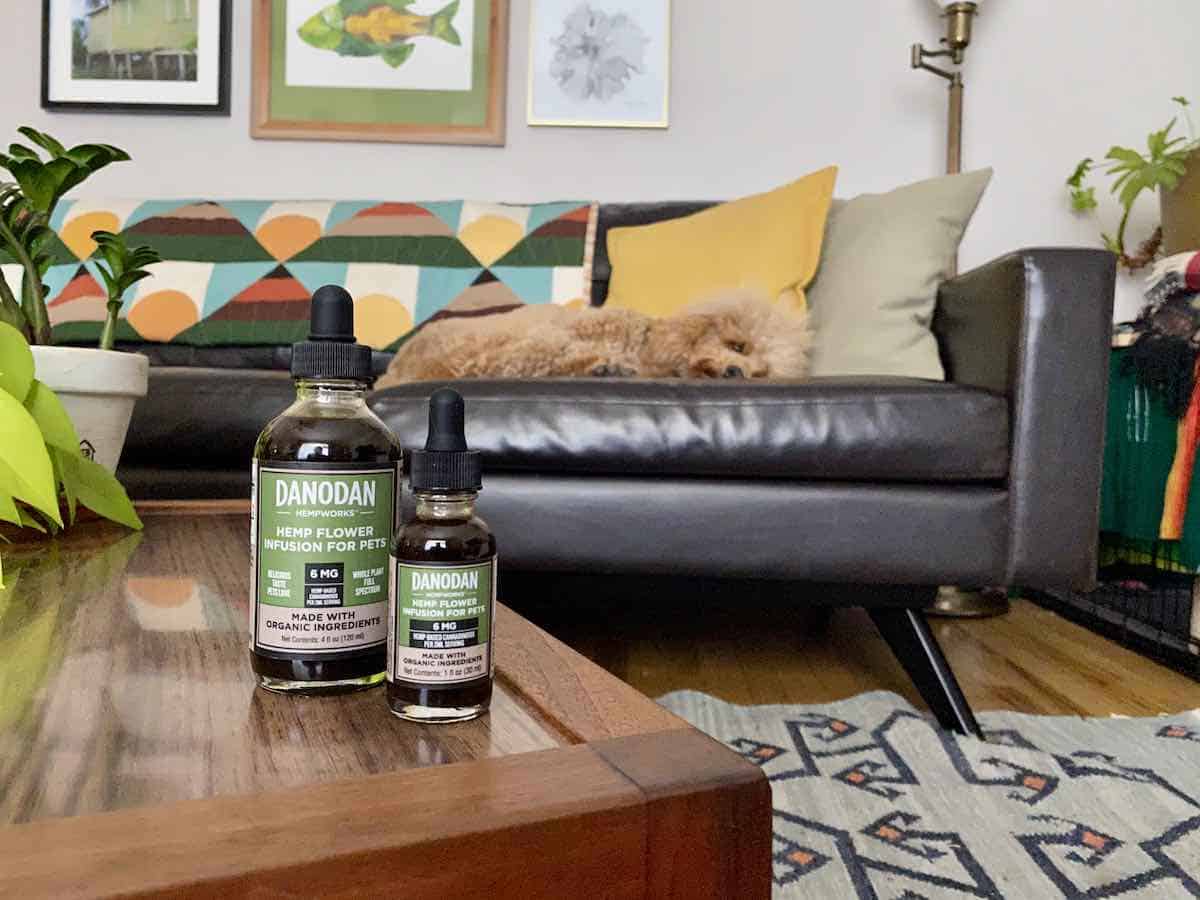 Danodan hemp flower infusions for pets, with dog in the background - full size