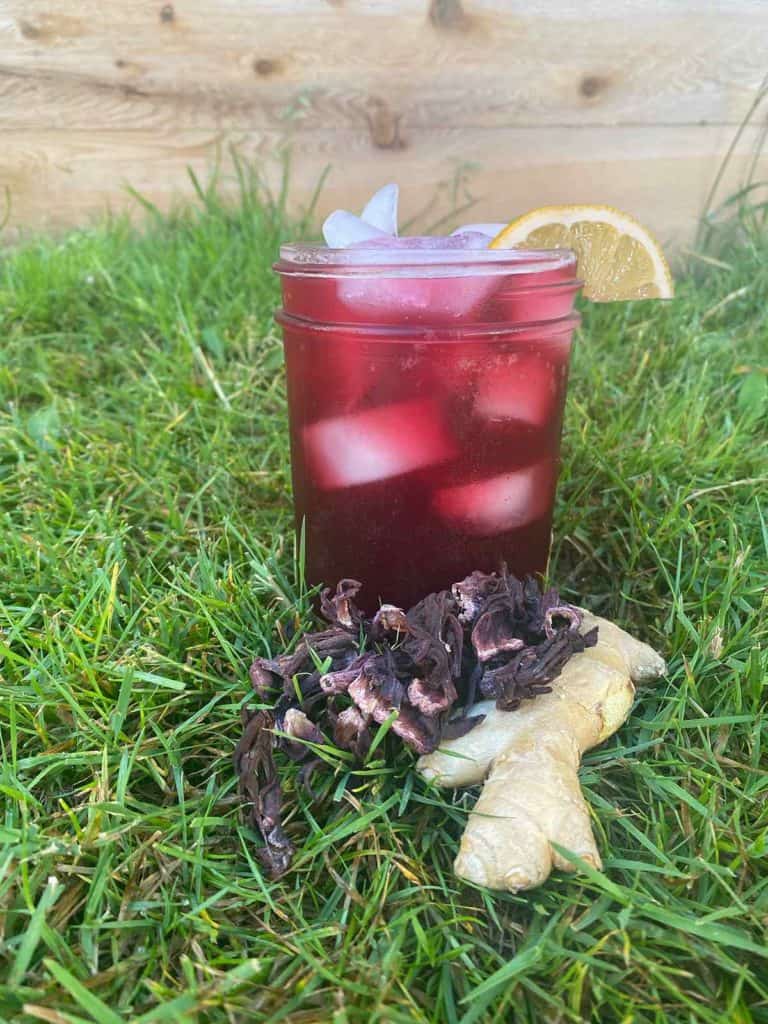 Ginger Hibiscus Lemon Mocktail Danodan Hempworks