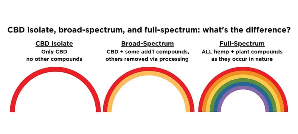 Infogrraphic showing the difference between full spectrum cbd and broad spectrum cbd. full spectrum cbd. cbd water solubility. cbda vs cbd. buy full spectrum cbd oil