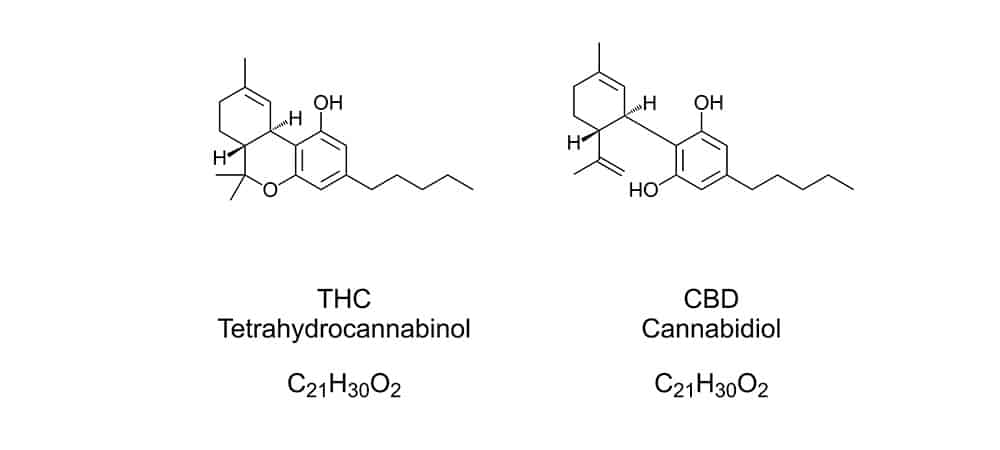 Chemical diagram of CBD & THC. Does Full-Spectrum CBD Have THC In It? buy cbd. hemp oil. cbd oil for pain. organic hemp. cbd tinctures. cbd buy.