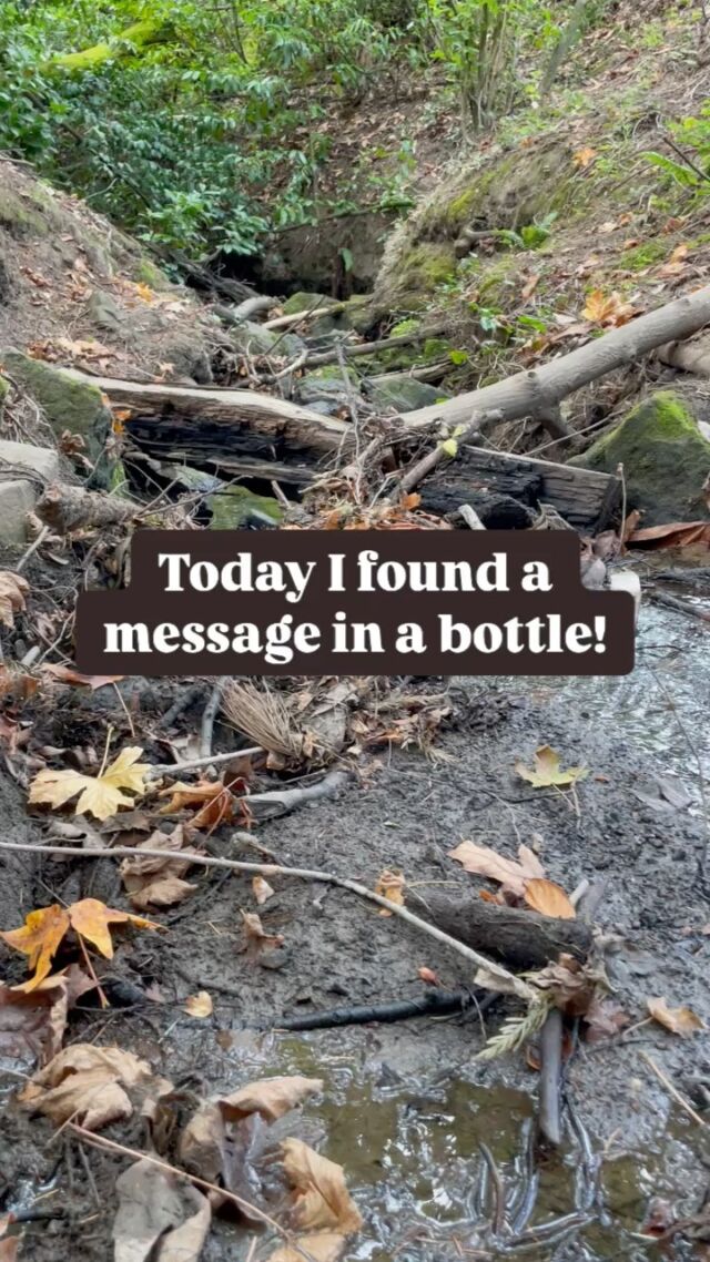 Yarrrr! It be Talk Like A Pirate Day, and we found this message in a bottle! Better do what it say, lest ye be cursed… 

#danodan #fyp #talklikeapirateday #messageinabottle #organic